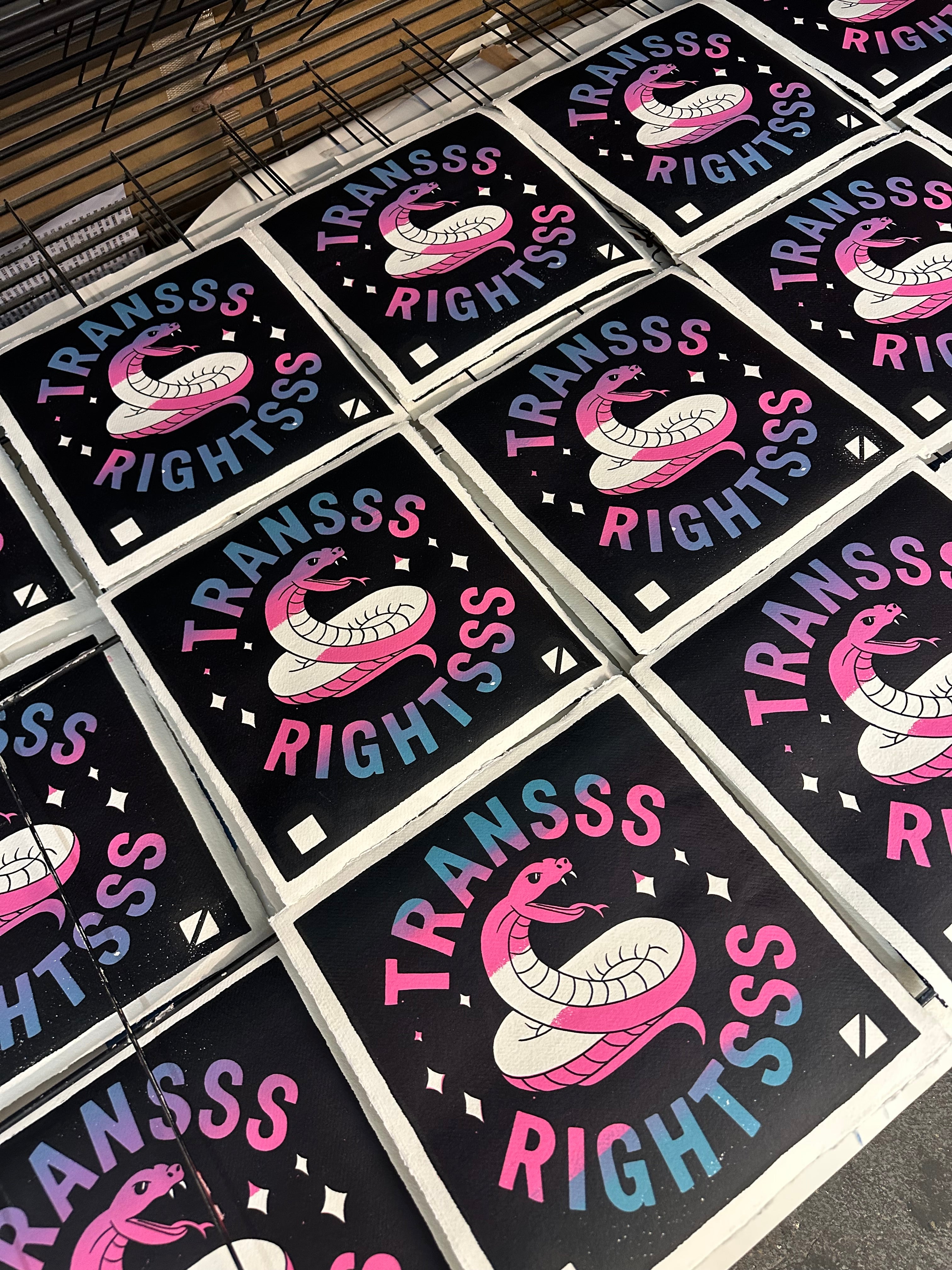 Transss Rightsss Snake