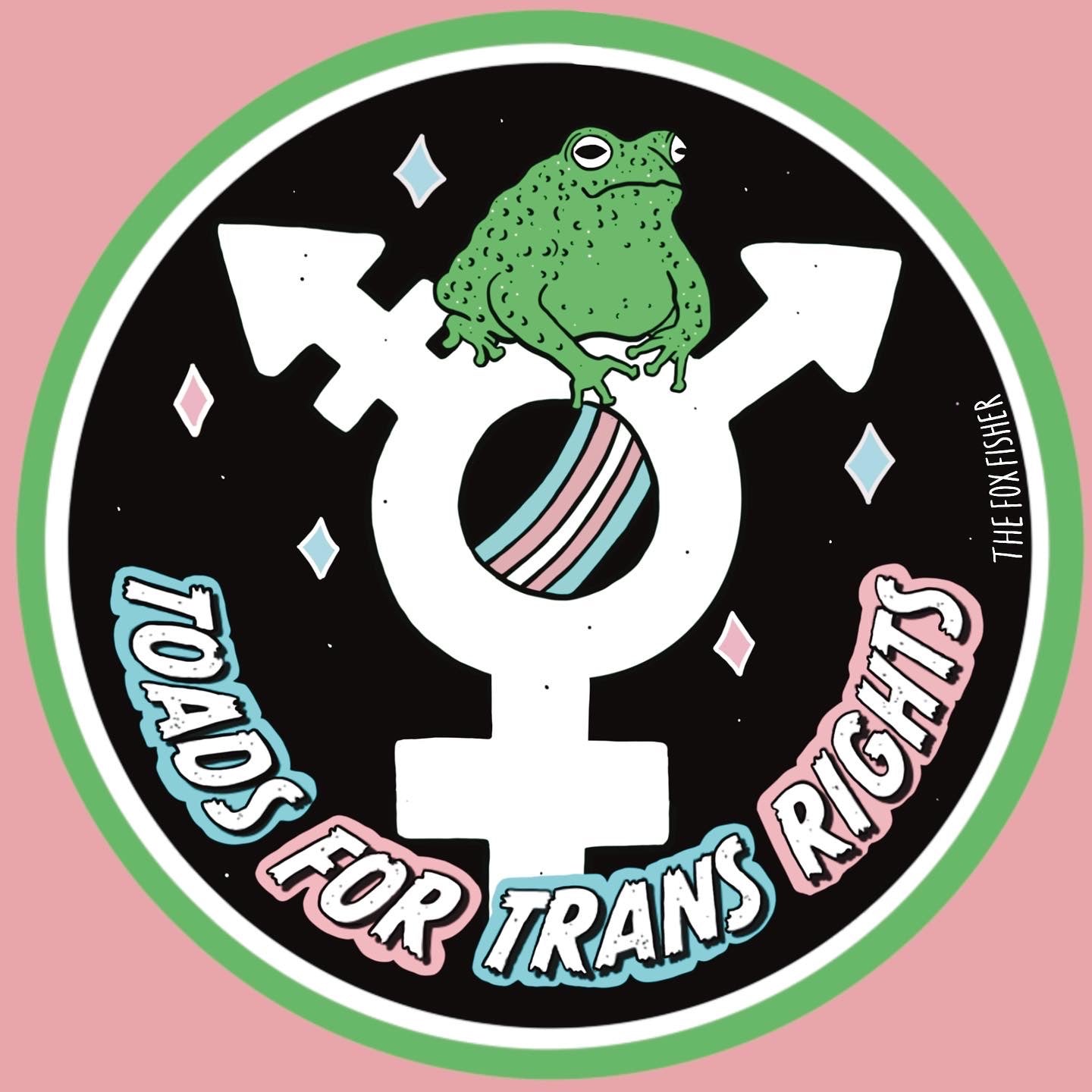20 Trans / LGBTQIA+ Stickers
