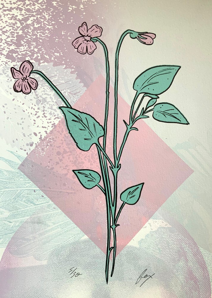 Big Charmer Screen Print