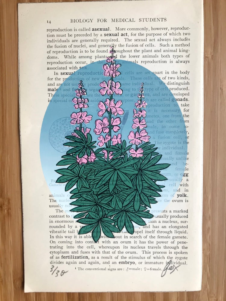 Fox’s Snail Mail Art Club - Monthly Screen Printed Delights + 10 Stickers