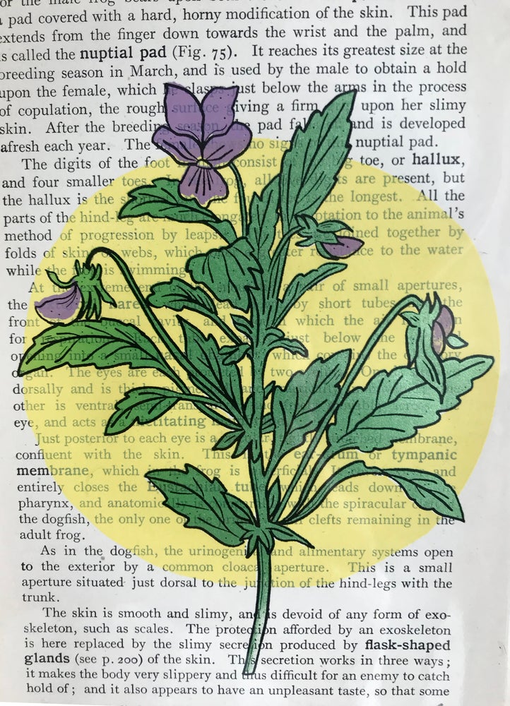 Vitamin F Screen Print