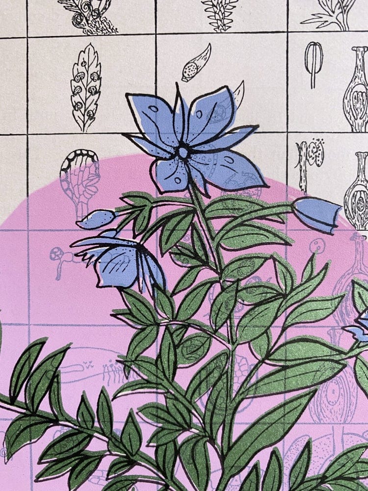 Wild Screen Print