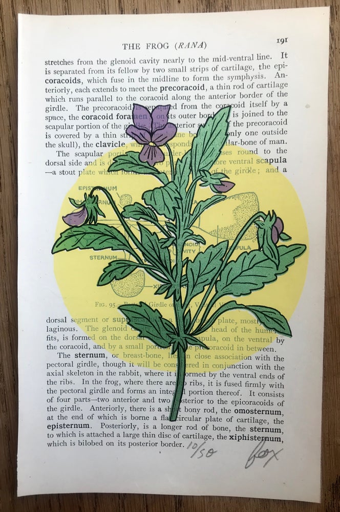 Vitamin F Screen Print