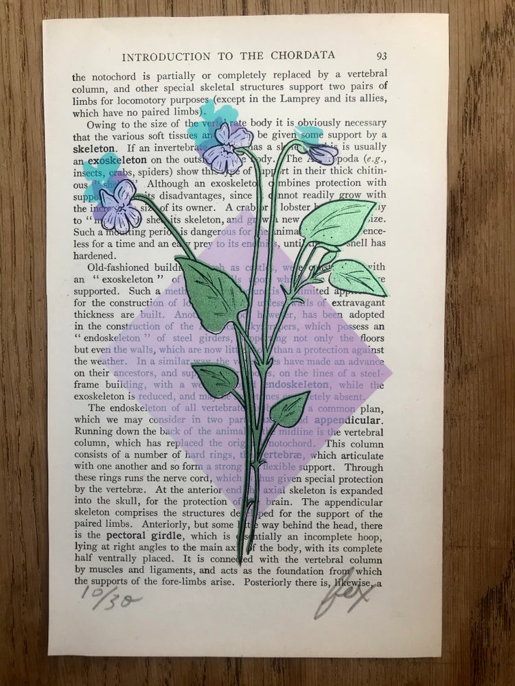 Charmer Screen Print