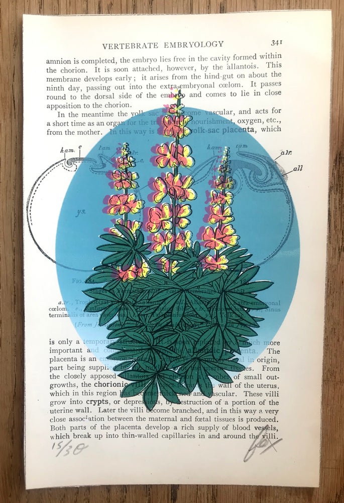 Sky Riser Screen Print