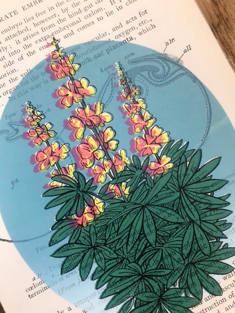 Sky Riser Screen Print