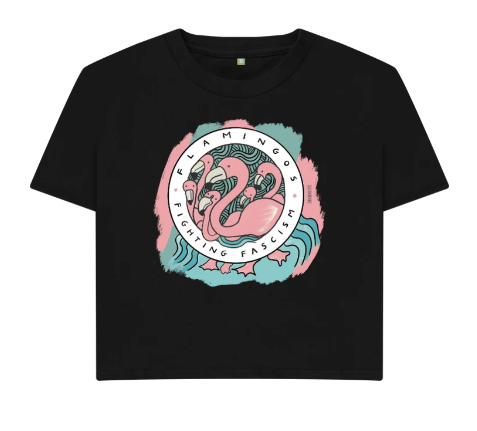Flamingos Fighting Fascism (Boxy Shirt)