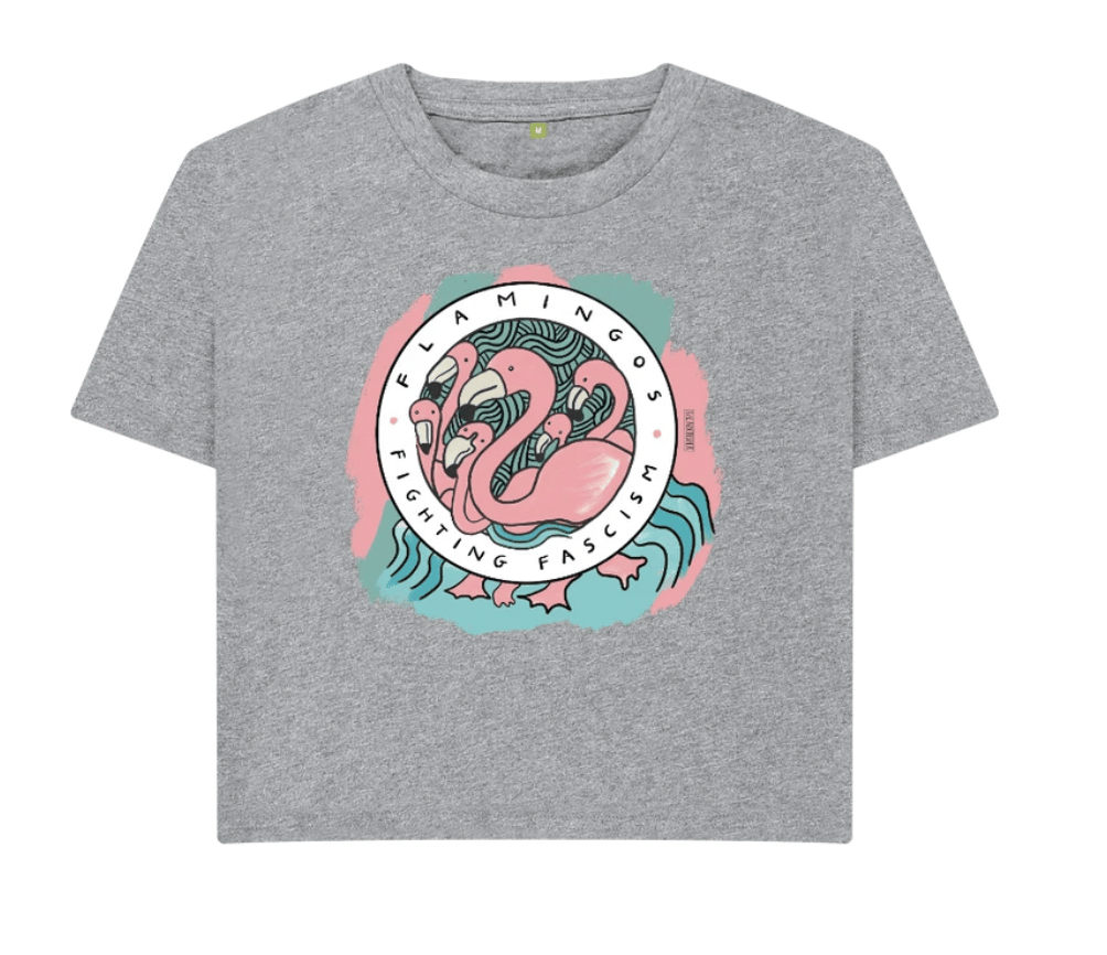 Flamingos Fighting Fascism (Boxy Shirt)