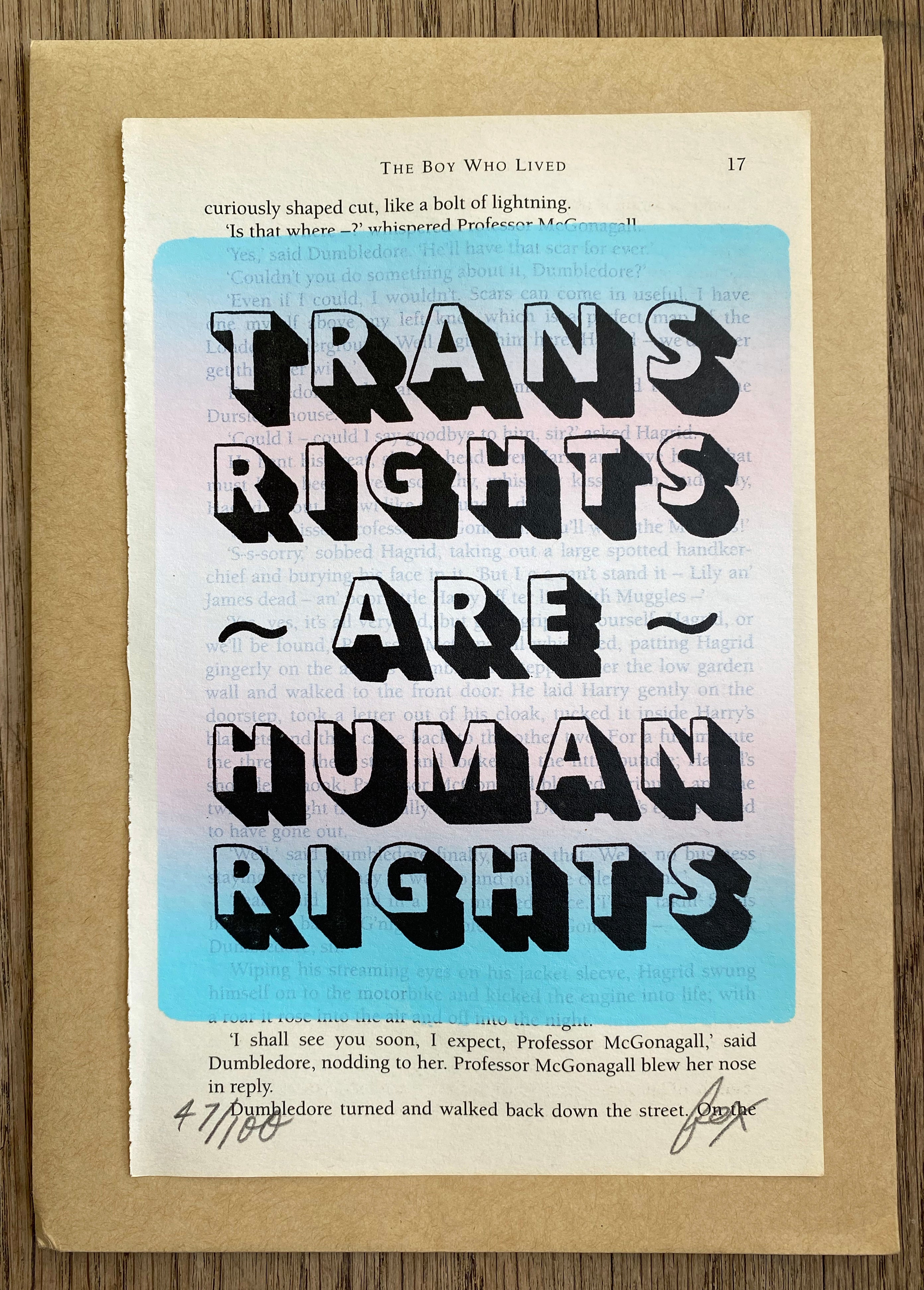 Trans Rights Are Human Rights - Screen Print