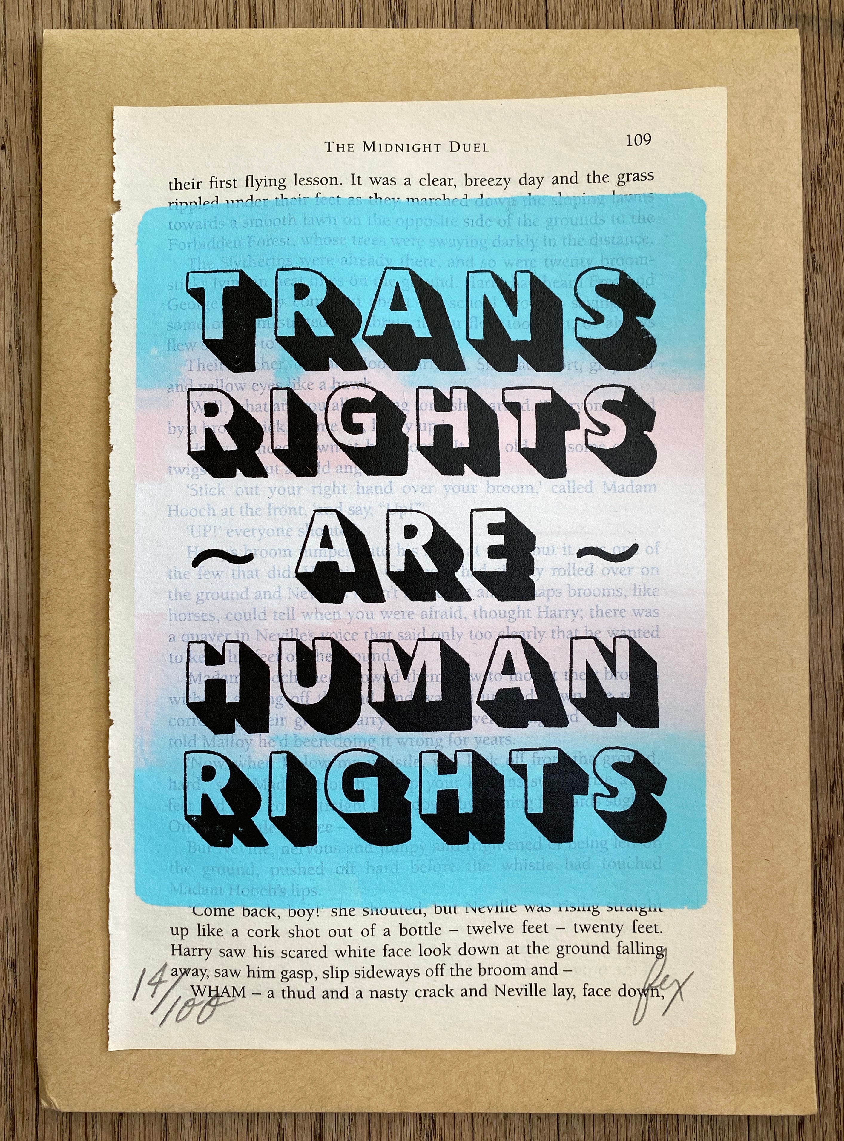 Fox’s Snail Mail Art Club - Monthly Screen Printed Delights + 10 Stickers