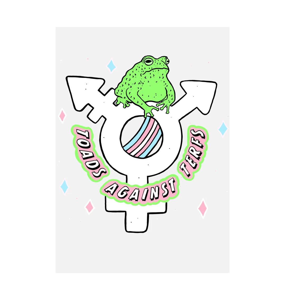 Toads Against TERFs illustration by Fox Fisher, colourful green toad on a trans pride symbol with pink and blue decorative elements, LGBTQ+ art print design