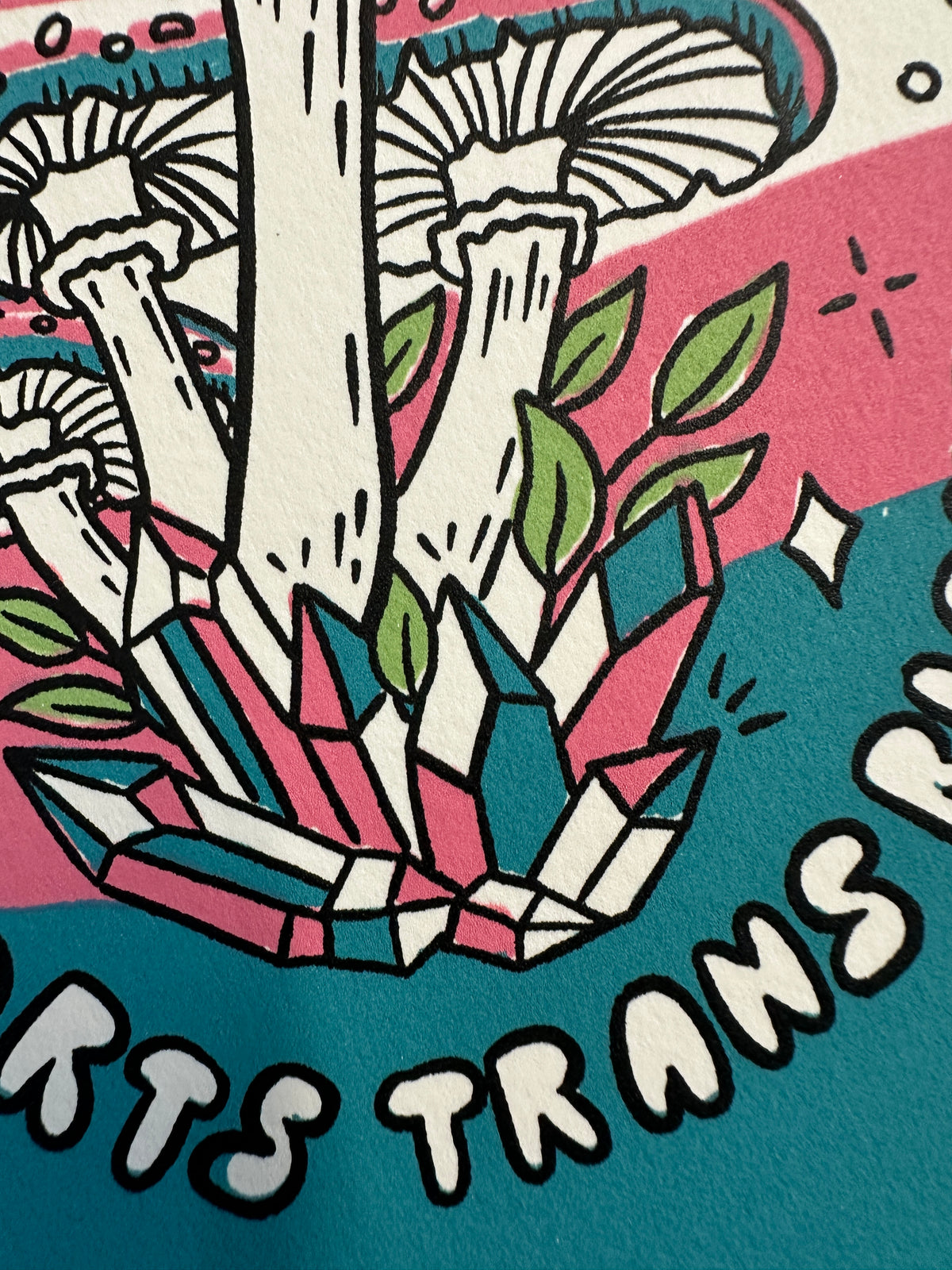 This Fun-gi Supports Trans Rights - A5 Screen Print