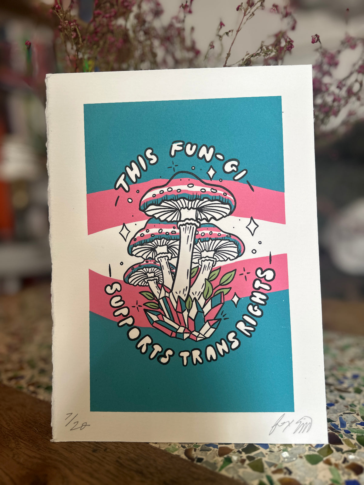 This Fun-gi Supports Trans Rights - A5 Screen Print