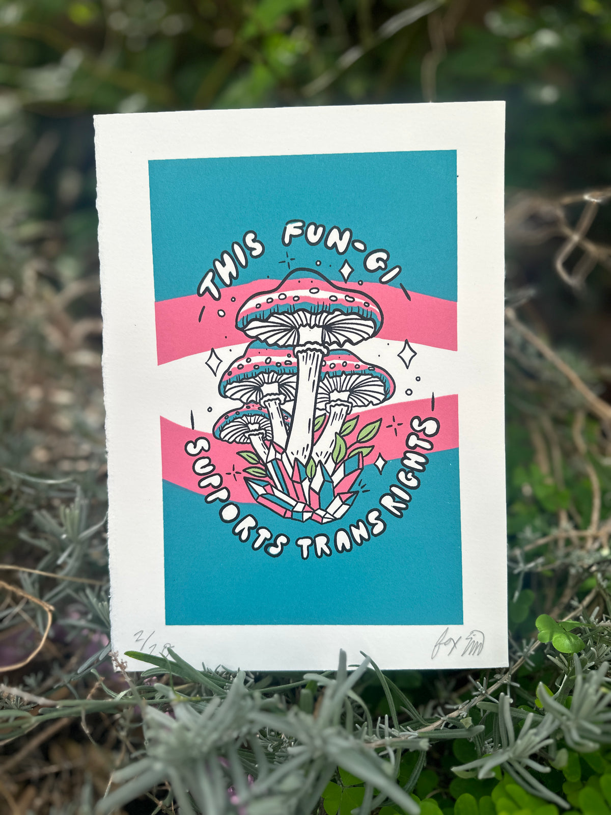 This Fun-gi Supports Trans Rights - A5 Screen Print