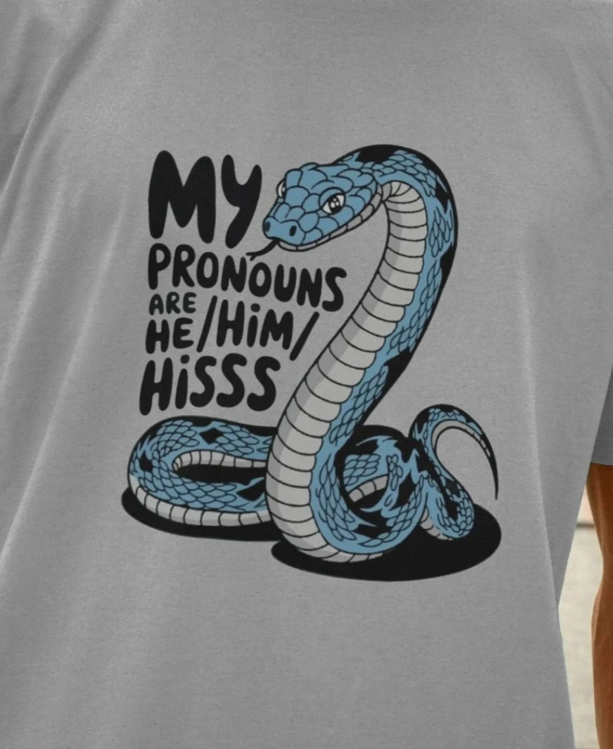 He, Him, Hisss T-shirt