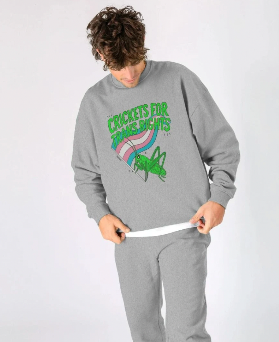 Crickets for Trans Rights - Sweater Edition