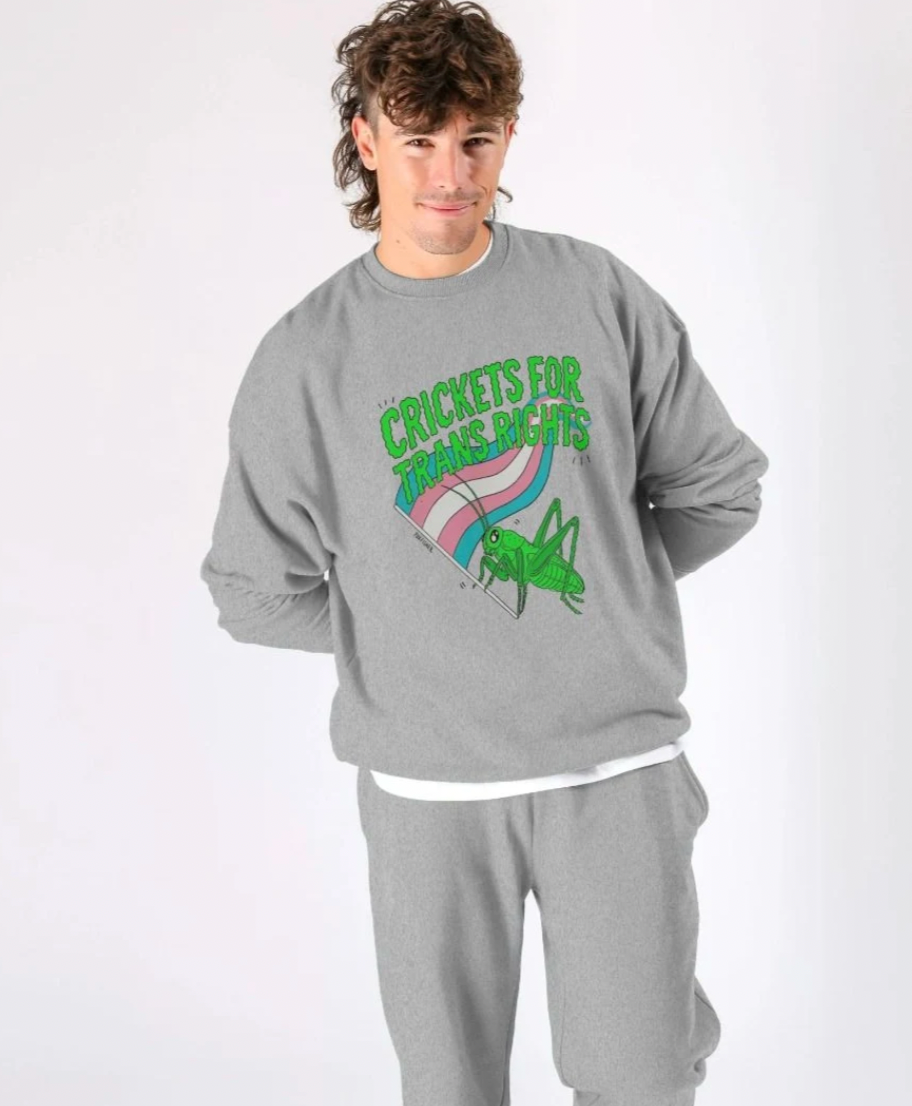 Crickets for Trans Rights - Sweater Edition