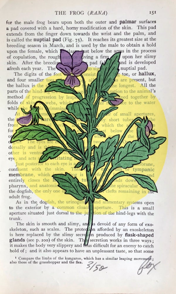 Vitamin F Screen Print