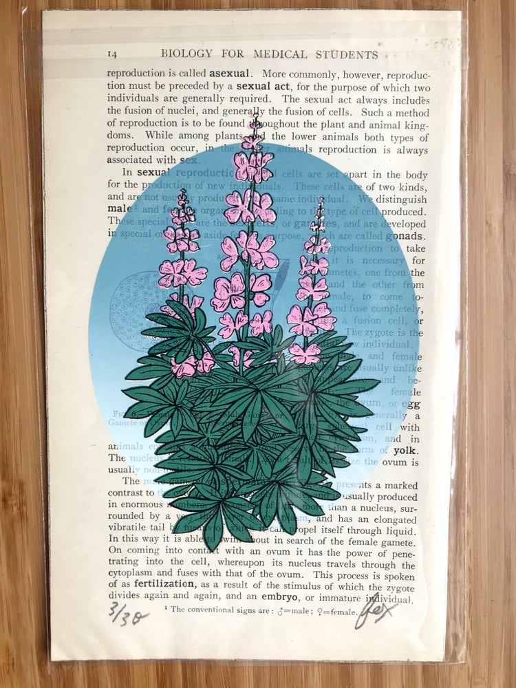 Sky Riser Screen Print