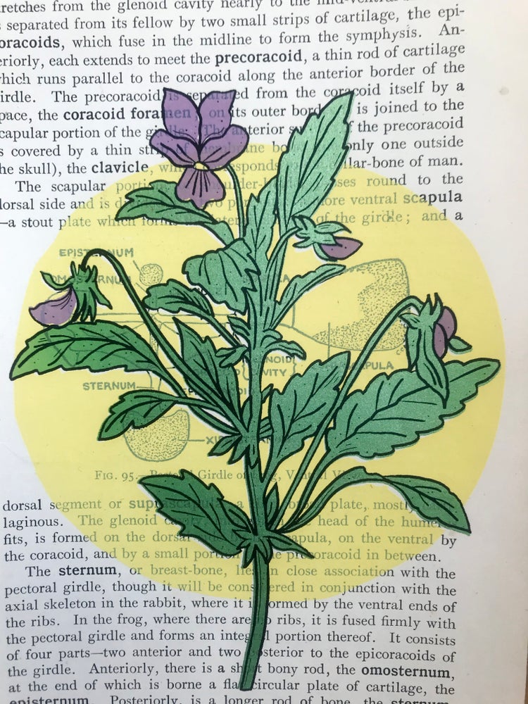 Vitamin F Screen Print