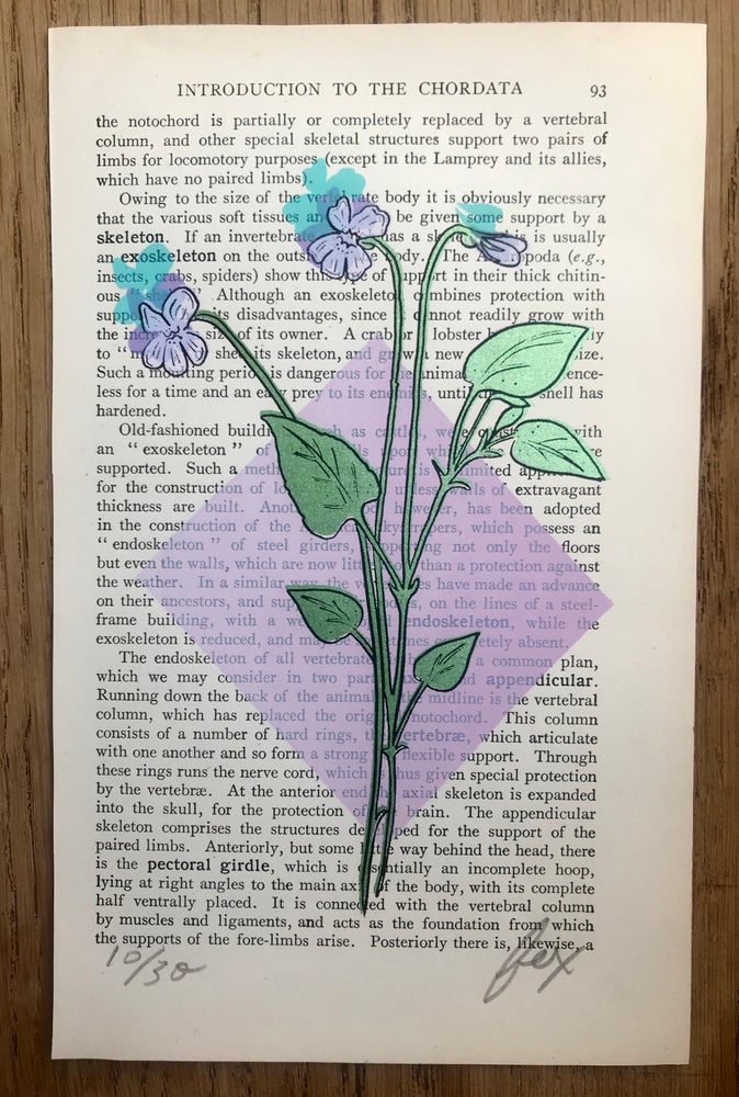 Charmer Screen Print