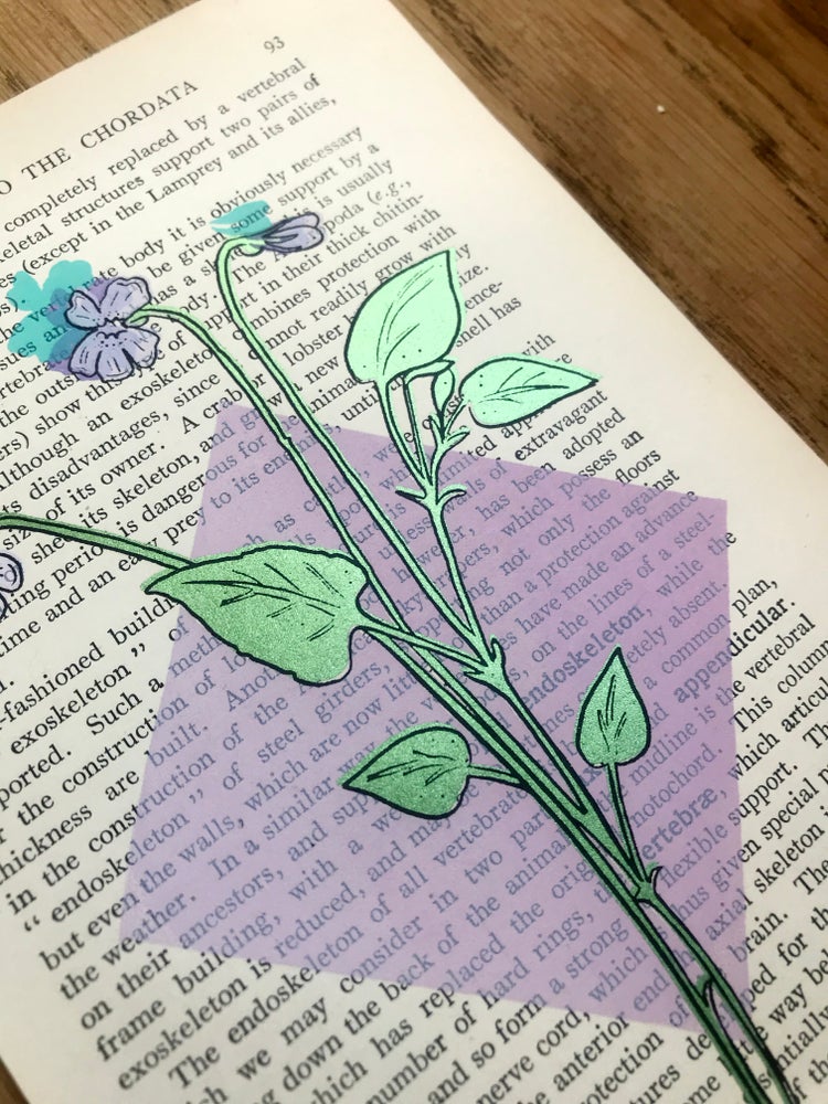 Charmer Screen Print