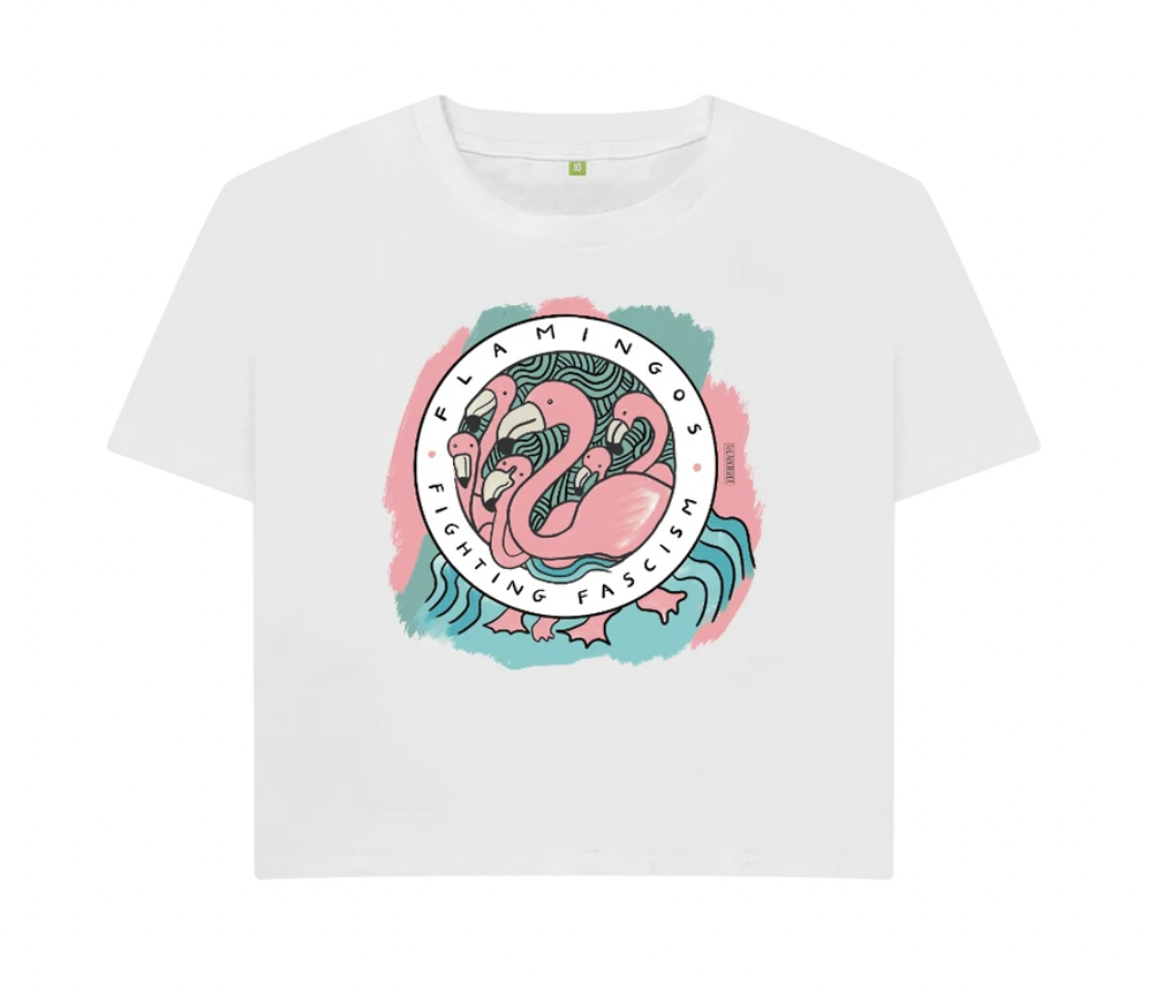 Flamingos Fighting Fascism (Boxy Shirt)