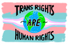 Trans Rights are Human Rights Art Print